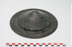Foto von Bronzephalere (NHMW-PRAE-025544a)